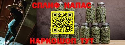 стафф Дубна
