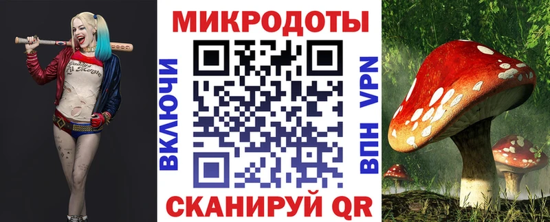дарнет шоп Славянск-на-Кубани ОМГ ОМГ как войти Галлюциногенные грибы ЛСД