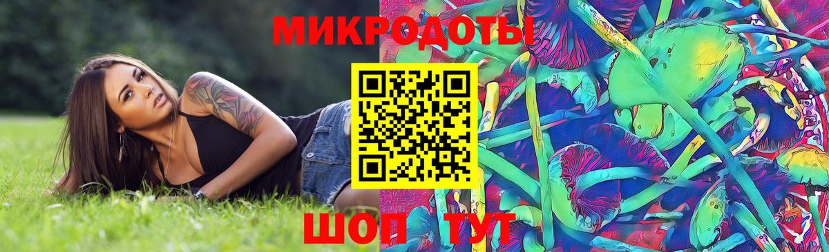 Псилоцибиновые грибы мухоморы Славянск-на-Кубани